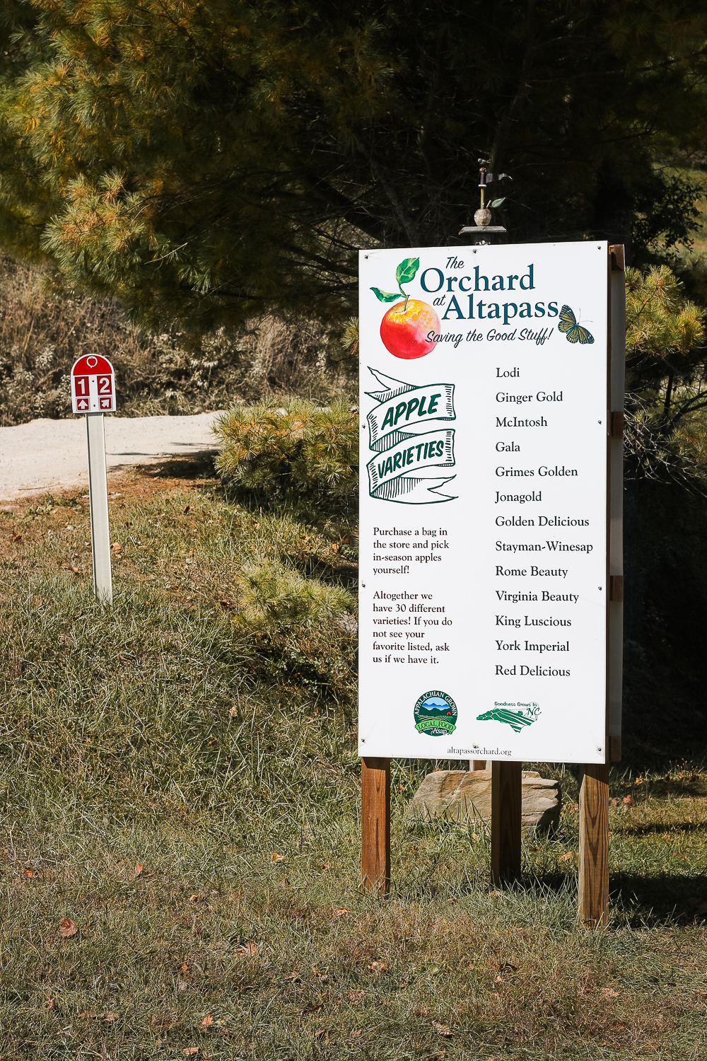 apple-orchard-nc-1