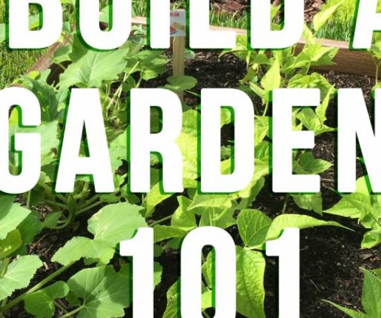 How to Build a Garden 101