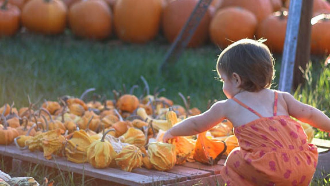 Pumpkin Patch Visit and My Thoughts on Living with a Foster Baby