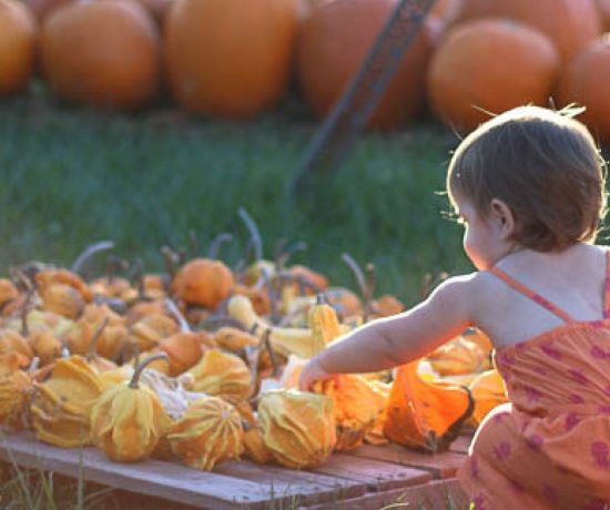 Pumpkin Patch Visit and My Thoughts on Living with a Foster Baby
