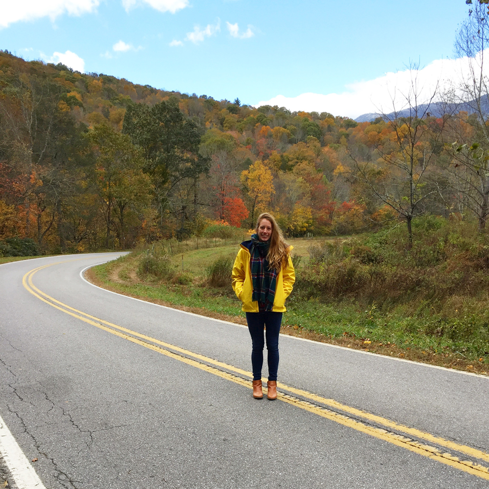 north carolina road