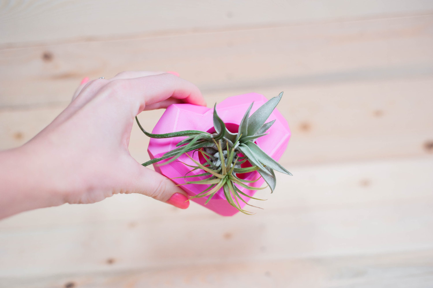 Shop Oak + Oats PinkHeart Shaped Planter