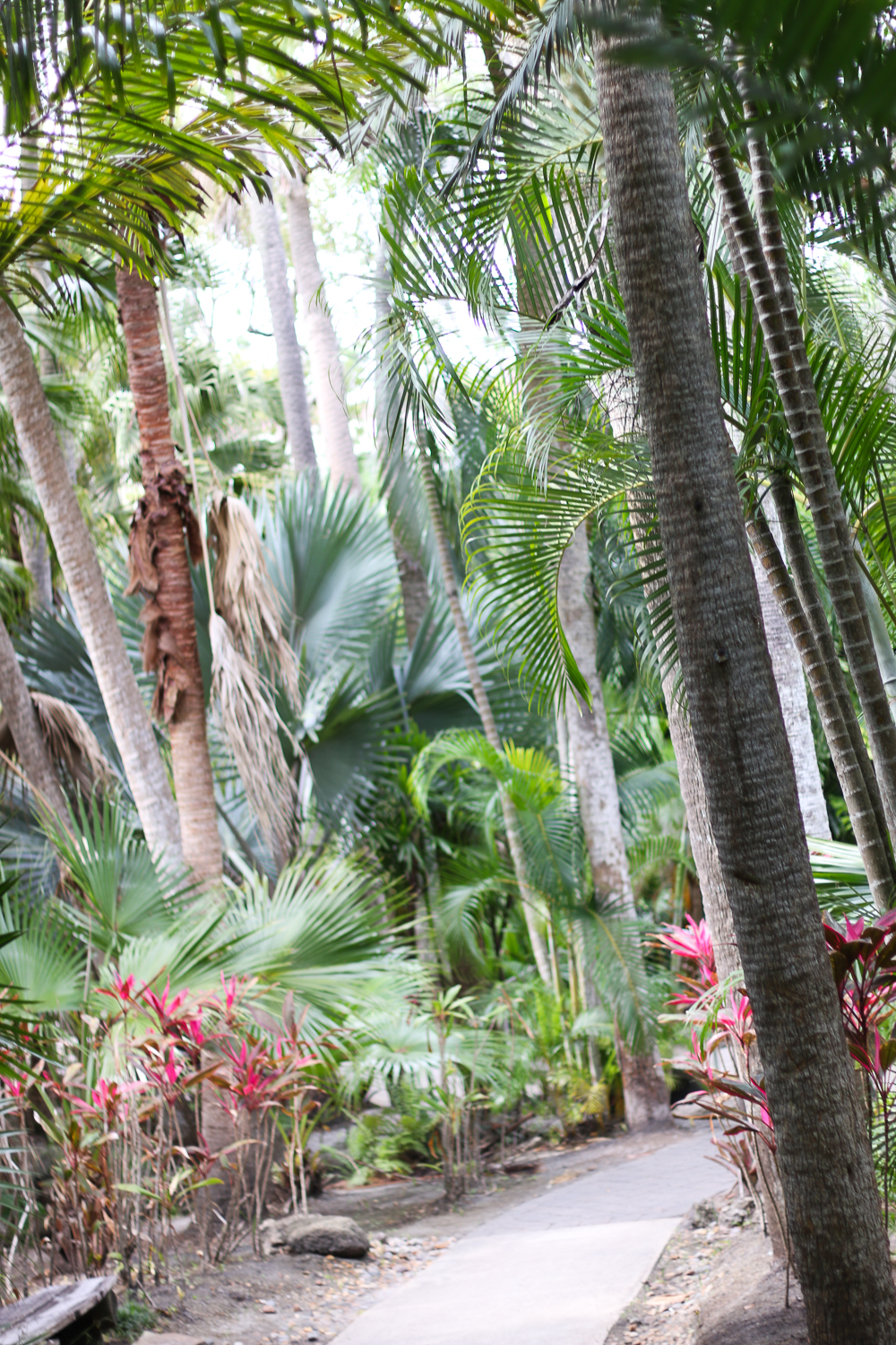 Tropical Trip To Fit Botanical Gardens Sunshine Style Florida