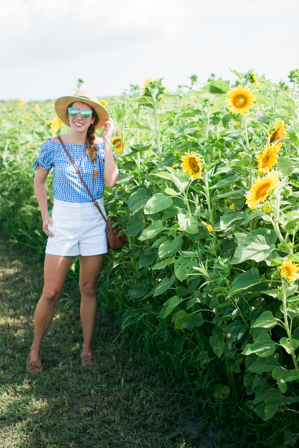 mims_sunflower_maze-16