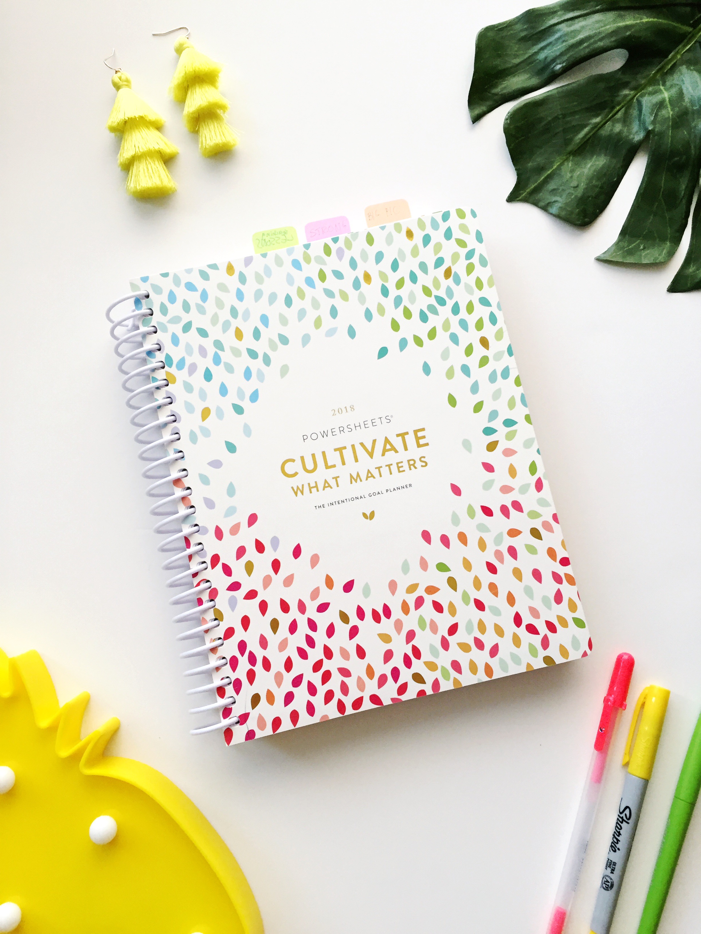 How to Plan Goals / How to Set Goals and Achieve Them / Goal Setting / Powersheets 2019 Intentional Goal Planner / Lara Casey Powersheets / See my 2019 Goals on Sunshine Style, www.sunshinestyleblog.com