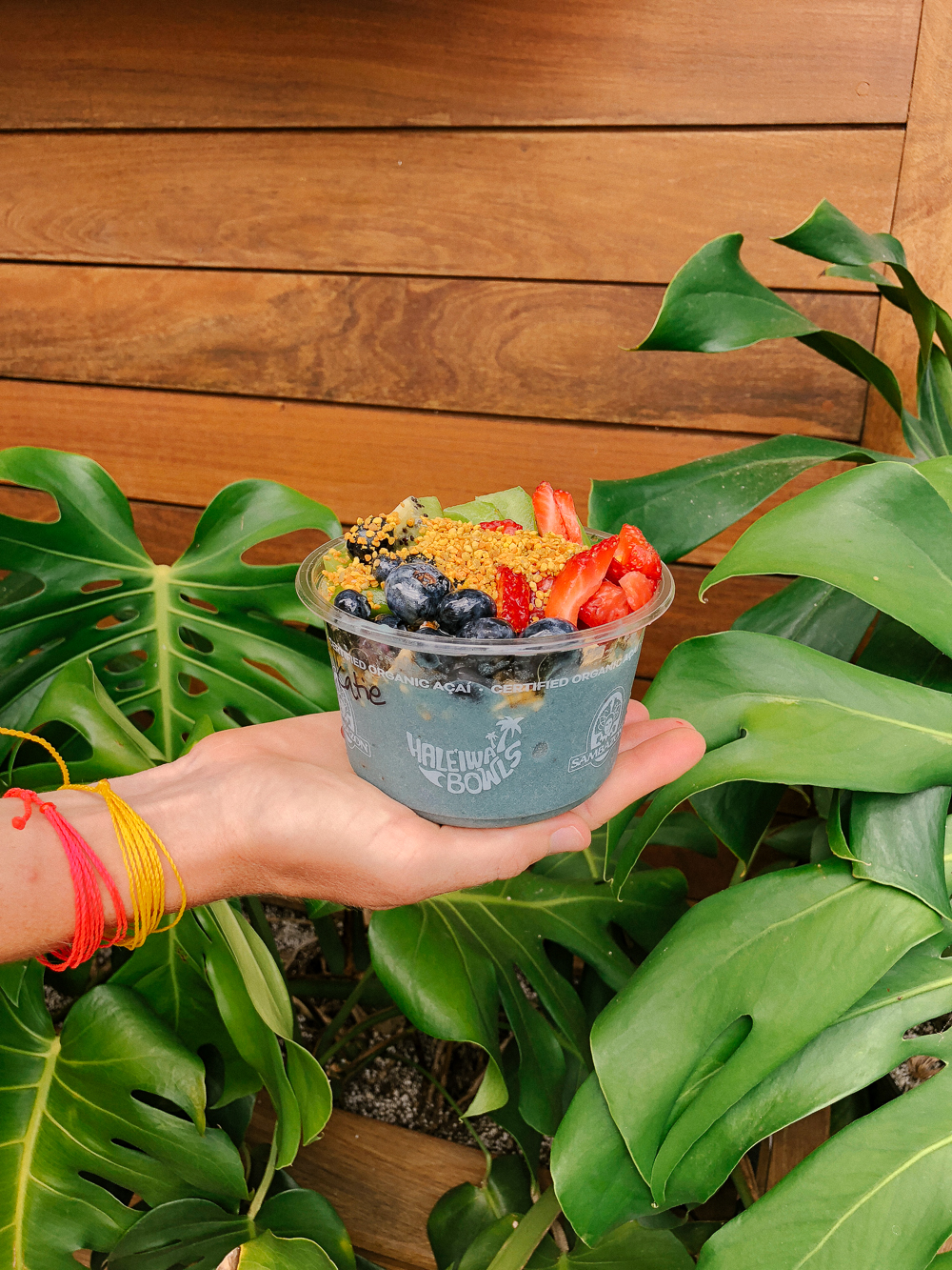The Ultimate Oahu Travel Guide for the Adventurer - Haleiwa Bowls, Acai Bowls, North Shore Oahu | Sunshine Style