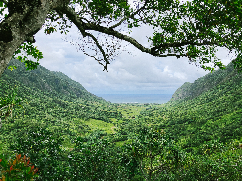 The Ultimate Oahu Travel Guide for the Adventurer - Kualoa Ranch | Sunshine Style