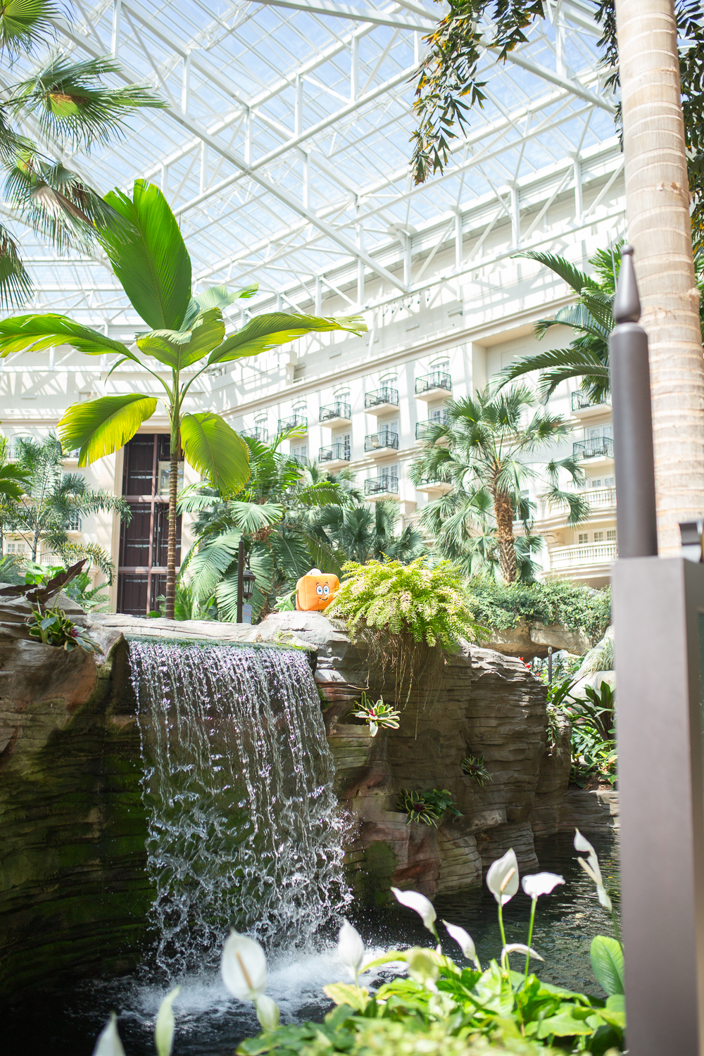 Recap of Gaylord Palms Orlando, Florida Day Trip - Sunshine Style, Florida Fashion, Travel and Lifestyle Blog