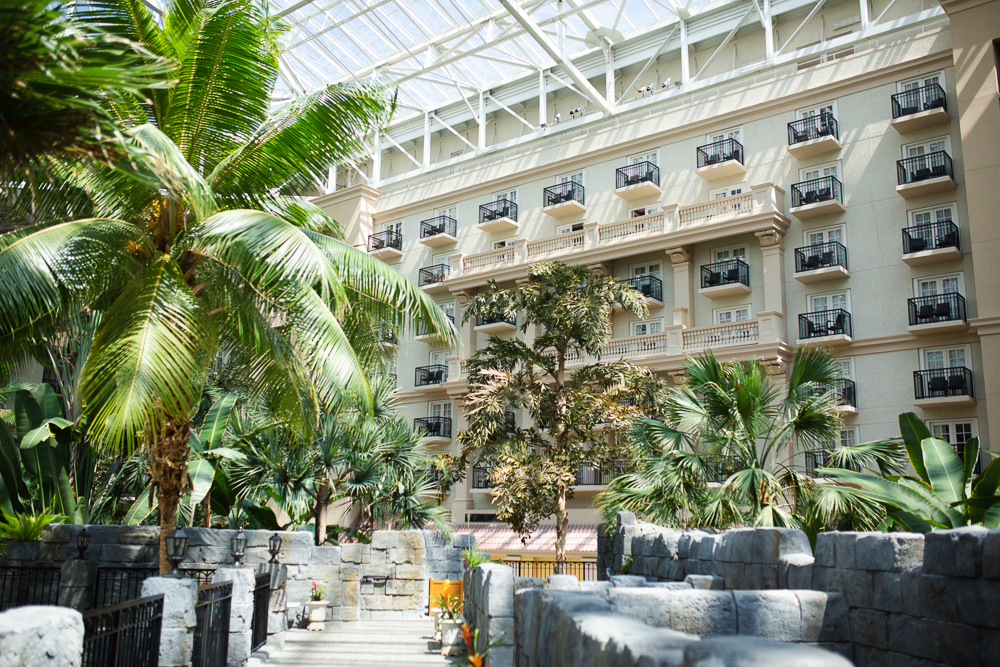 Recap of Gaylord Palms Orlando, Florida Day Trip - Sunshine Style, Florida Fashion, Travel and Lifestyle Blog