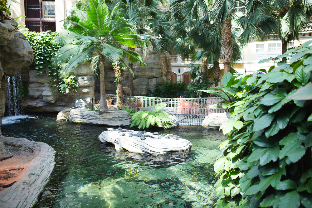 Recap of Gaylord Palms Orlando, Florida Day Trip - Sunshine Style, Florida Fashion, Travel and Lifestyle Blog