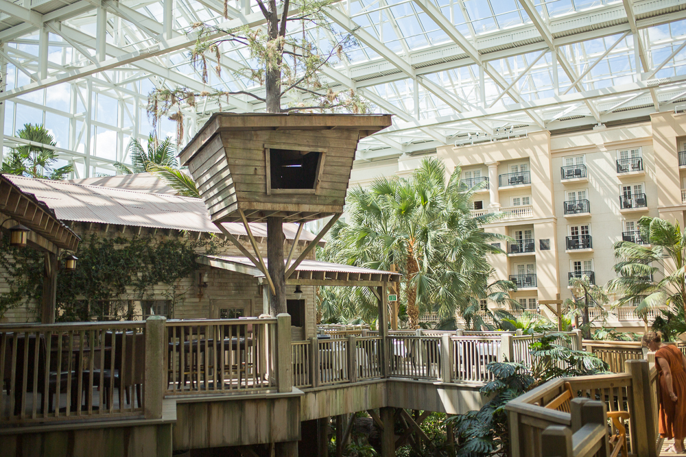 Recap of Gaylord Palms Orlando, Florida Day Trip - Sunshine Style, Florida Fashion, Travel and Lifestyle Blog