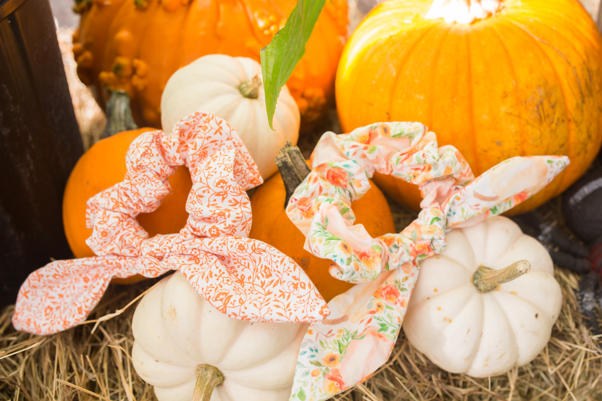 pumpkins and scrunchies for fall