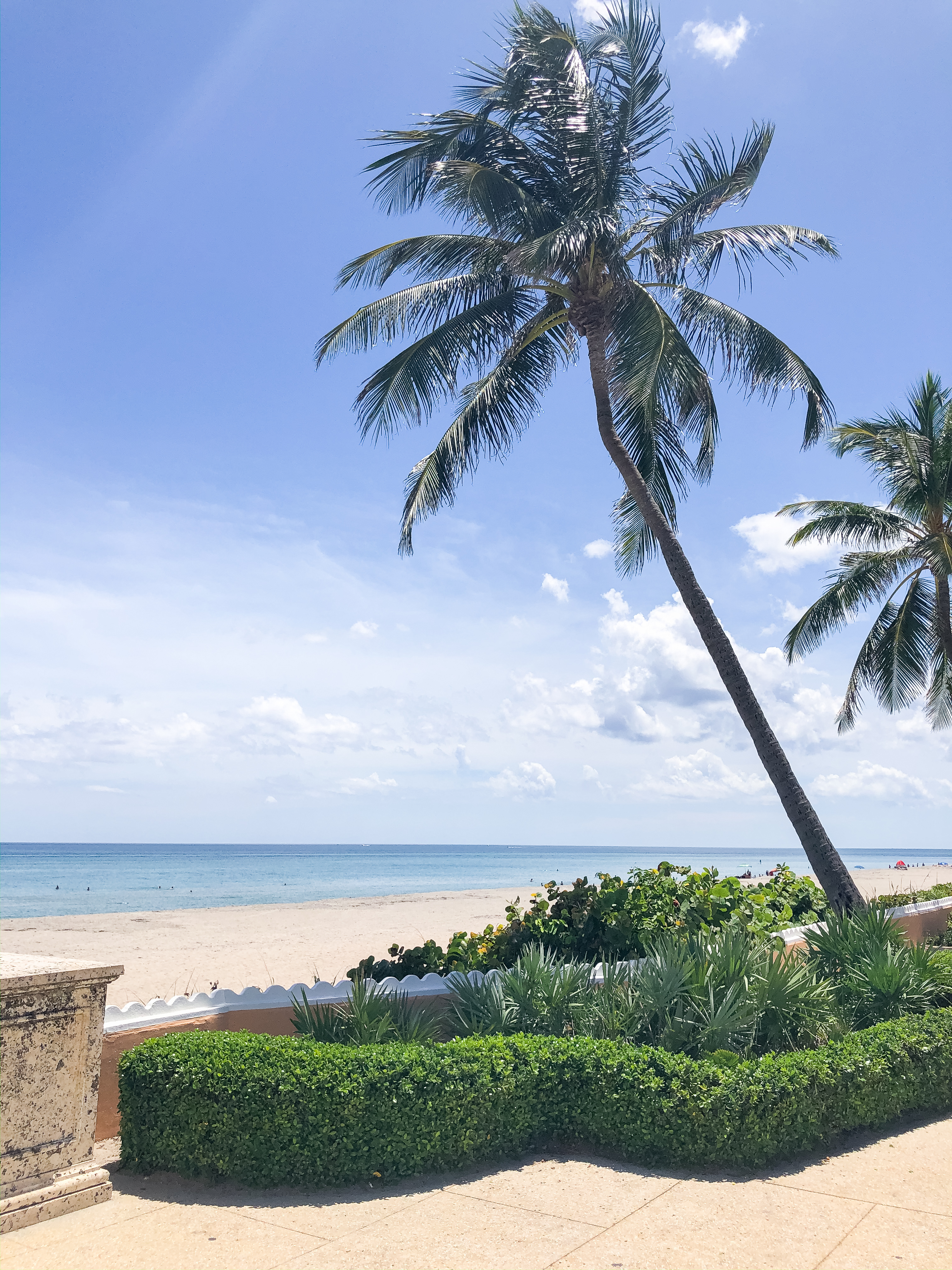 24 Hour Palm Beach Travel Guide / Palm Beach Lake Trail / Palm Beach, Florida / Palm Beach Style / Worth Avenue / Palm Trees - Sunshine Style, A Classica and Coastal Style and Lifestyle Blog by Katie 