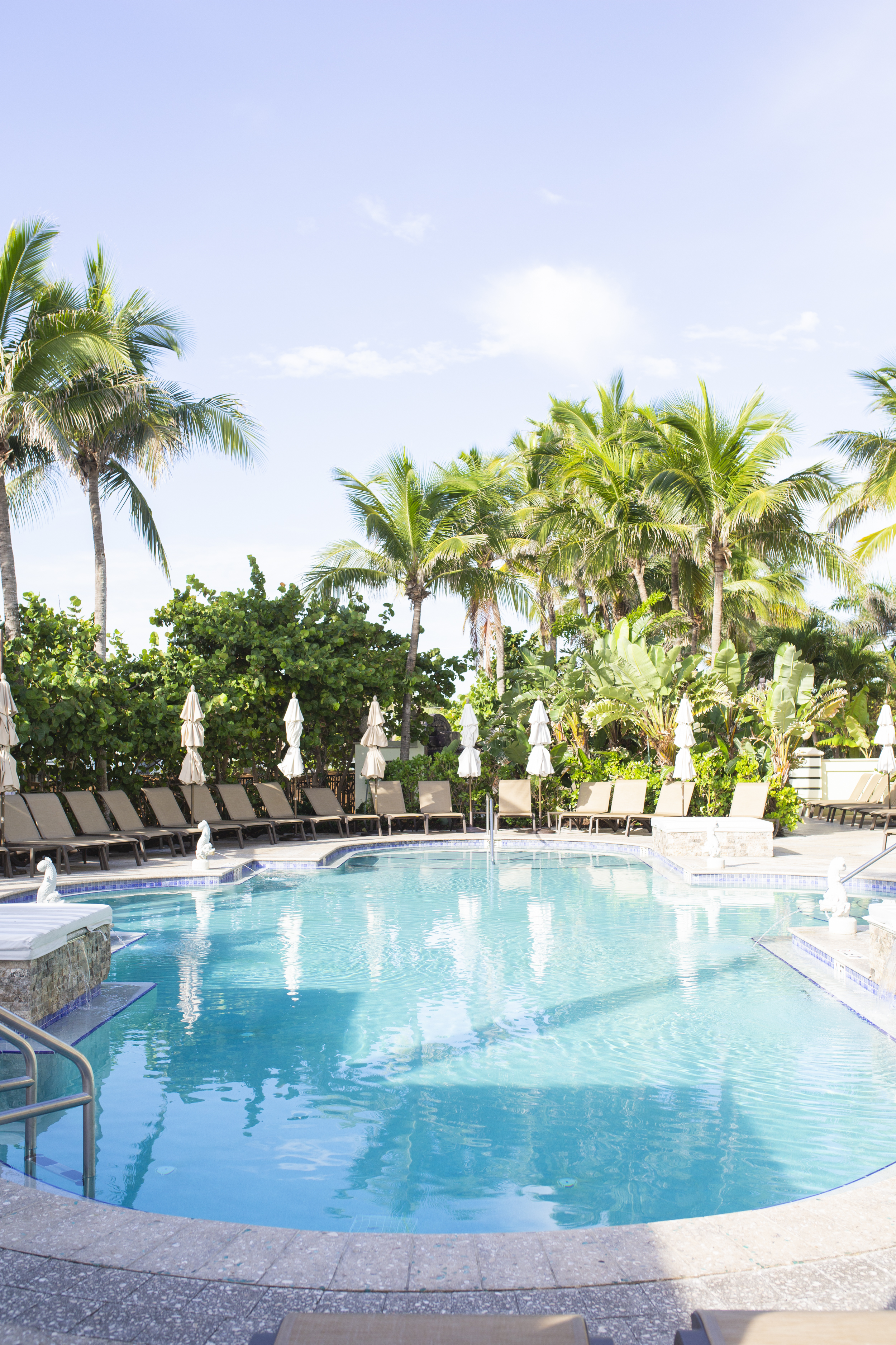 the pool at the resort